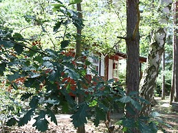 Haus am Kolberg Modern Retreat