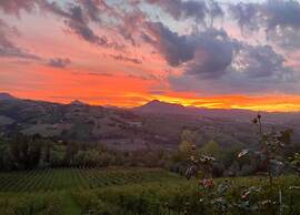 Terrace Retreat in the Marche