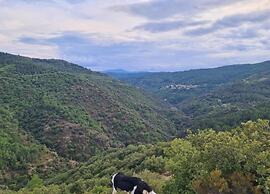 Cevennes Stone Retreat