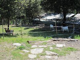 Cevennes Stone Retreat