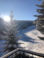 Ruckzugsort am Teich in Winterberg