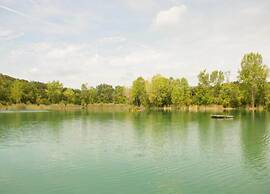 Apartment in Sassetta With Pool and Garden