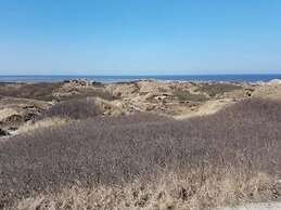 4 Star Holiday Home in Blavand