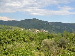 Beautiful Cottage in Pescia