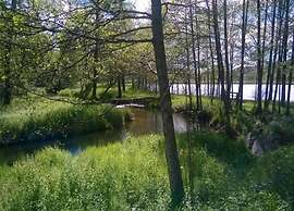 Lakefront Glamping w/ Pets