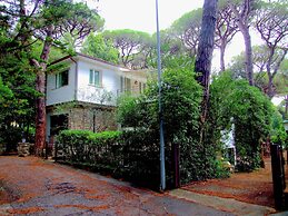 Charm in Castagneto Carducci