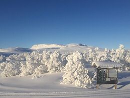 4 Person Holiday Home in Geilo