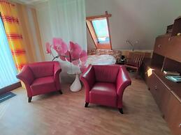 Apartment in Neu Ludershagen With Terrace