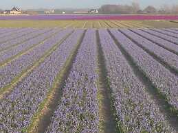 Buitenplaats 79