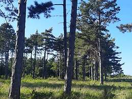 5 Person Holiday Home in Rorvig