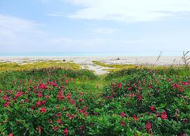 Holiday Home Near Pizzo Beach