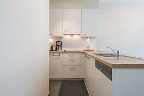 Spacious Apartment With Terrace