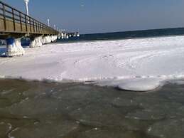 Chrissi's Baltic Sea Nest