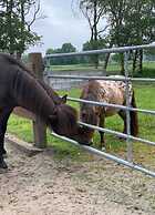Holiday Apartment Ponywiese