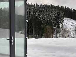 Modern Holiday Home With Skislope at 100 m