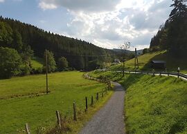 Modern Holiday Home With Skislope at 100 m