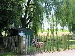 Pet-friendly Rural Escape