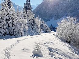 Holiday Apartment in Pinzgau