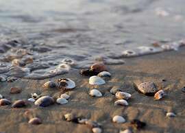 Holiday Home Near Spiaggia Tartaruga