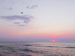 Beach House Dune 19 - Joy