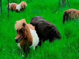 Farm Stay Near Bronkhorst
