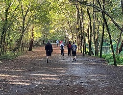 Apartment in Biscarosse Near Sandy Beach