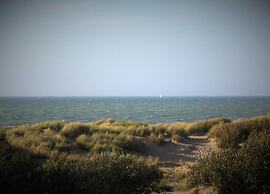 Coastal Comfort in De Haan