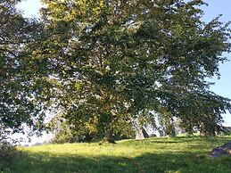 4 Person Holiday Home in Grevinge