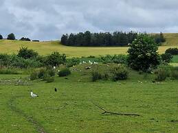4 Person Holiday Home in Grevinge
