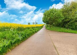 Pet Friendly Villa in Elsenborn