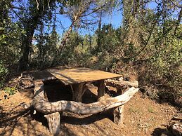 Holiday Home by Tuscan Coast Marina Carducci