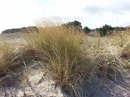 Beach Dune 18 on the Beach