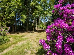Lovely Chalet in Arendonk With Terrace