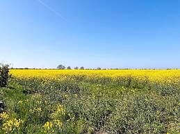 4 Star Holiday Home in Borgholm