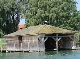 Dennenboomdroom