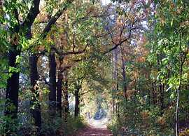 Scenic Stay Near Town & Lake