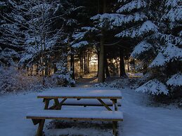 Forestside Escape Near Lake