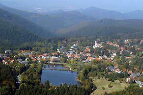 Sonniges Dachgeschoss-refugium, Wildemann