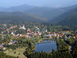 Sonniges Dachgeschoss-refugium, Wildemann