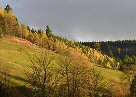 Sonniges Dachgeschoss-refugium, Wildemann