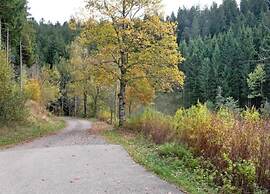 Elegante Ferienwohnung mit Aussenpool Schwarzwald