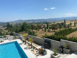 Luxury Villa With Swimming Pool
