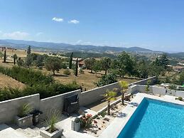 Luxury Villa With Swimming Pool