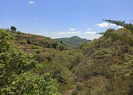 Holiday Home in Leonforte With Private Pool