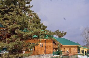 The FrozenFall Resort - Gulmarg