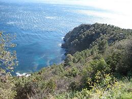 Les Heures Bleues Paradis