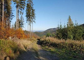 Kurzurlaub in Bockswiese, Hahnenklee