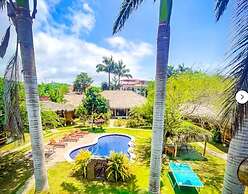 Palms Oasis Montanita