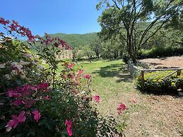 Luxurious Umbrian Retreat for 10 With Private Terrace and Pool