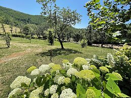 Luxurious Umbrian Retreat for 10 With Private Terrace and Pool